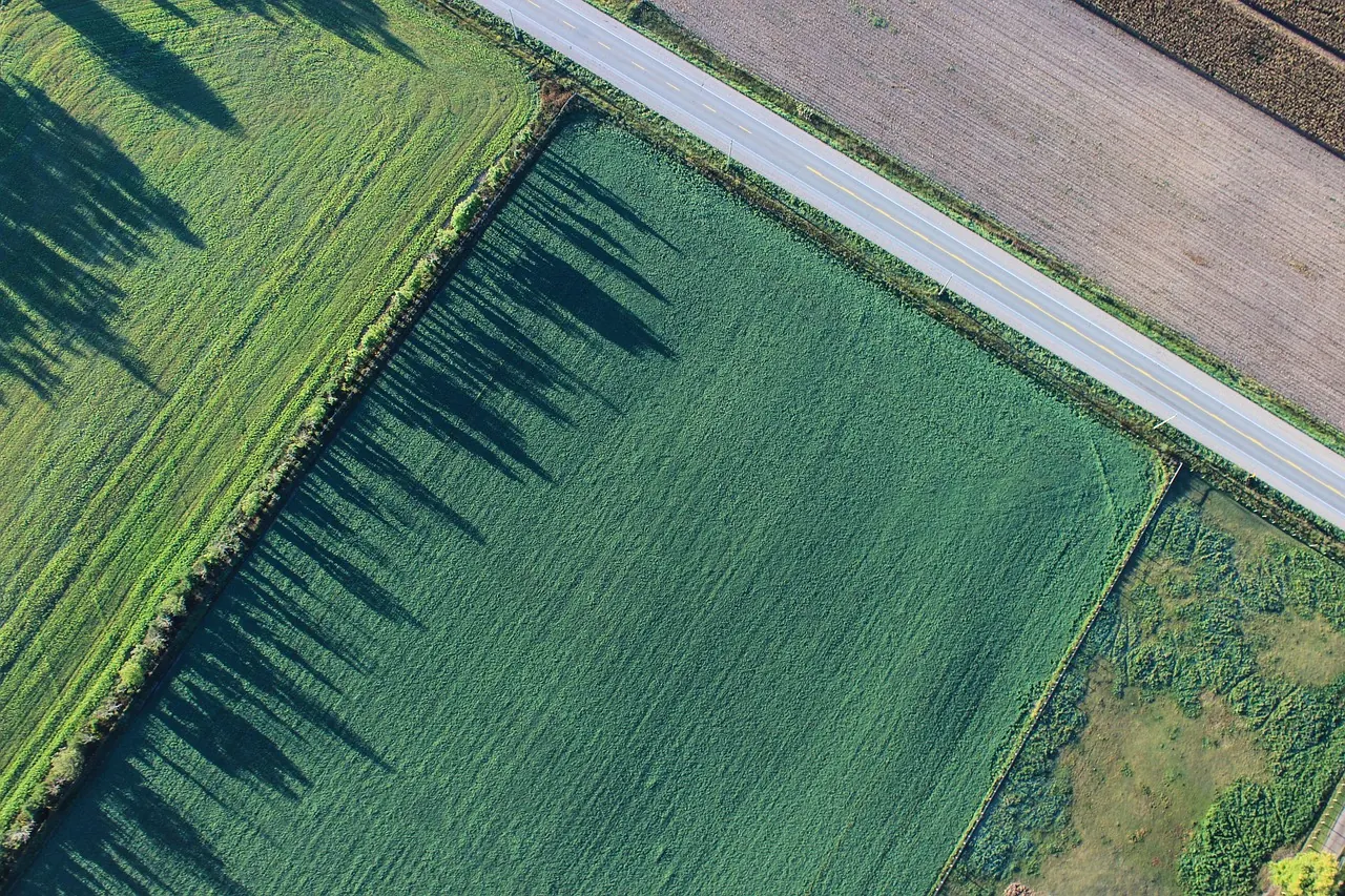 Aerial view of land parcels with clear boundaries beside a road