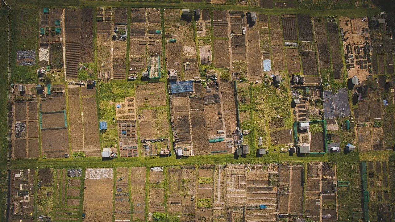 Aerial view of land subdivided into small plots