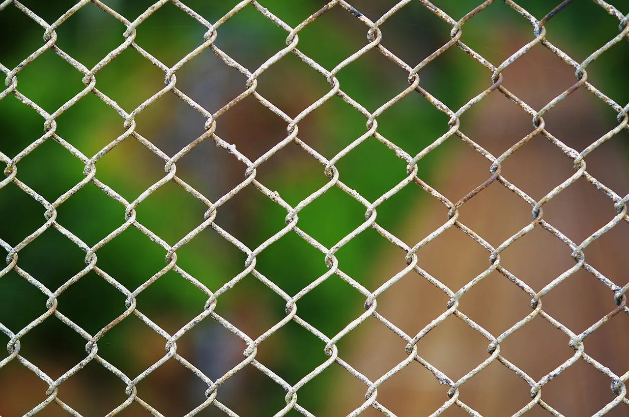 Chain link fence securing a property boundary