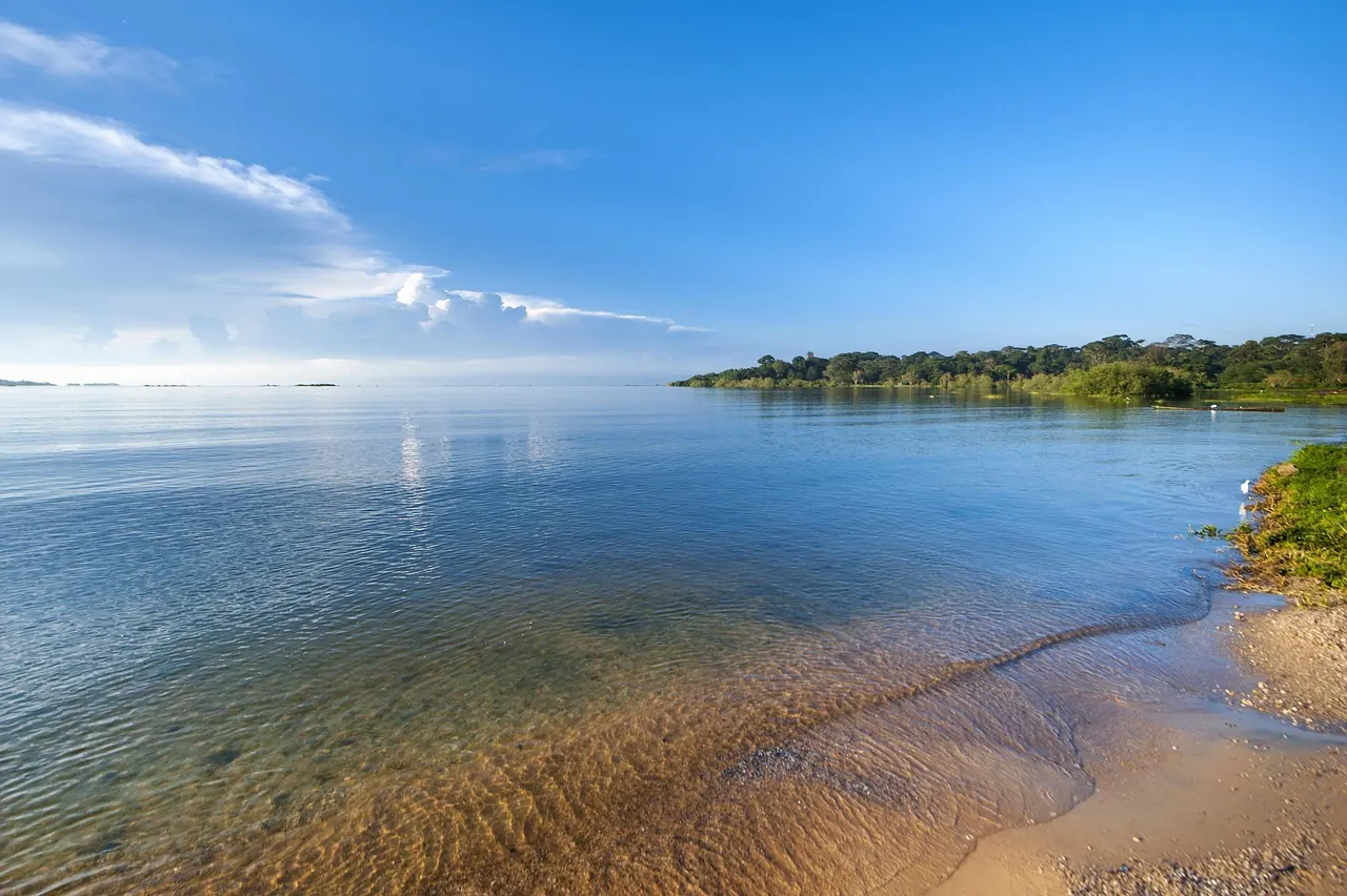 Clear water on the Lake Victoria shoreline in Uganda