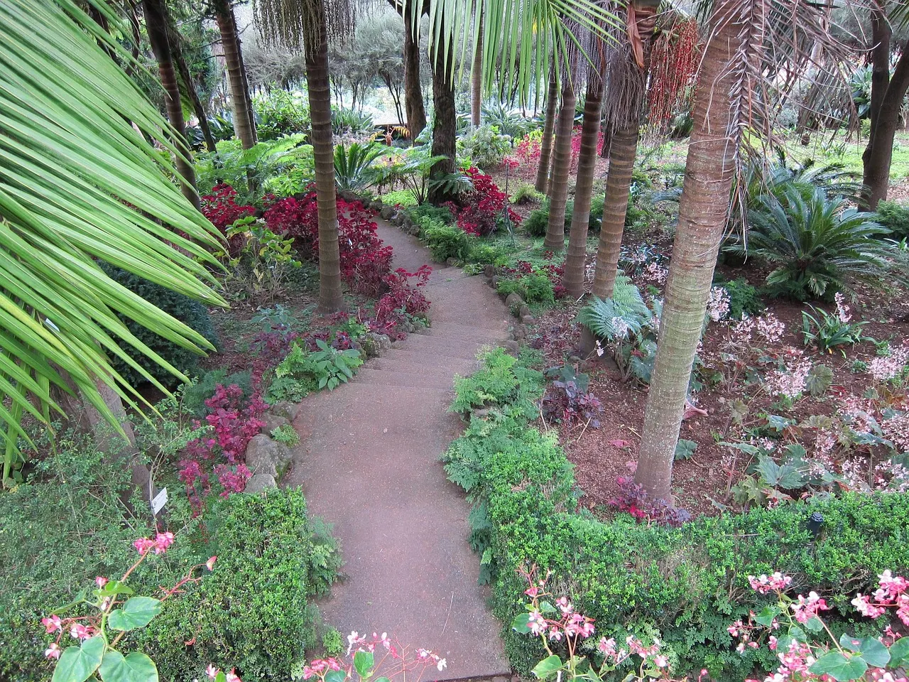 Landscaped garden with a paved pathway and tropical plants