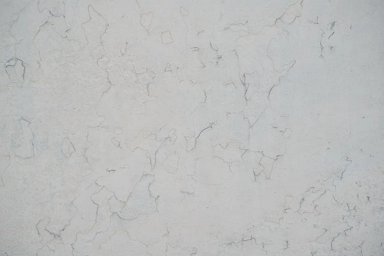 Smooth plastered wall finish ready for painting